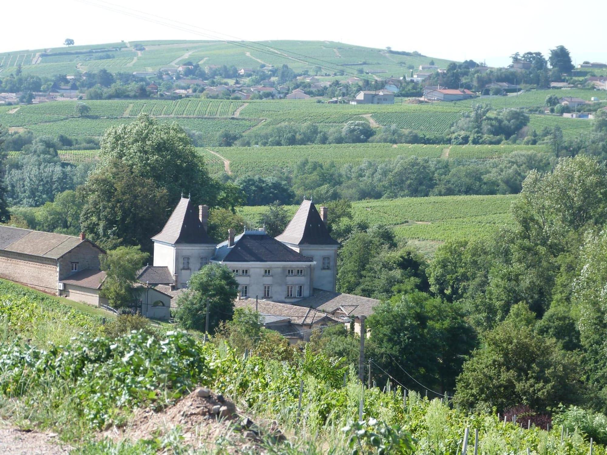 Logis Hotel Des Grands Vins ฟลัวรี ภายนอก รูปภาพ